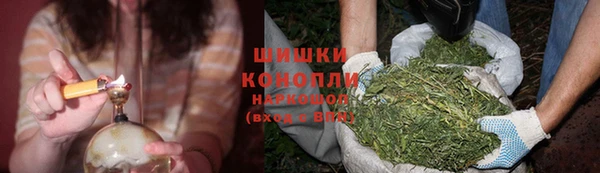 spice Белокуриха