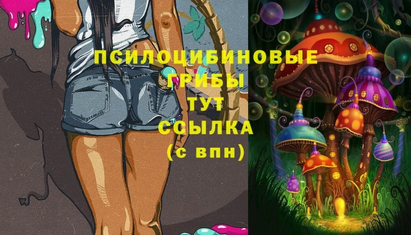 крисы Белоозёрский