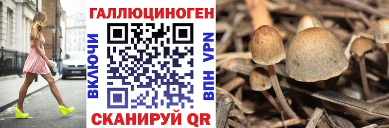 Галлюциногенные грибы прущие грибы  Билибино 